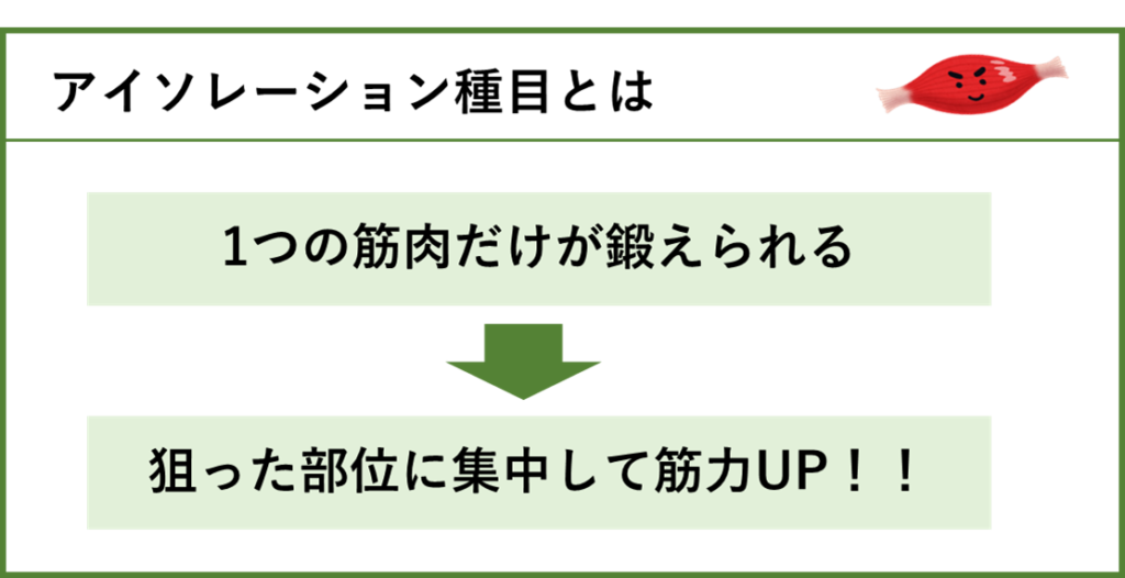 コンパウンド種目 アイソレーション種目 _ アイソレーション種目 見分け方 – QOIRG